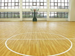 篮球场运动木地板厂家